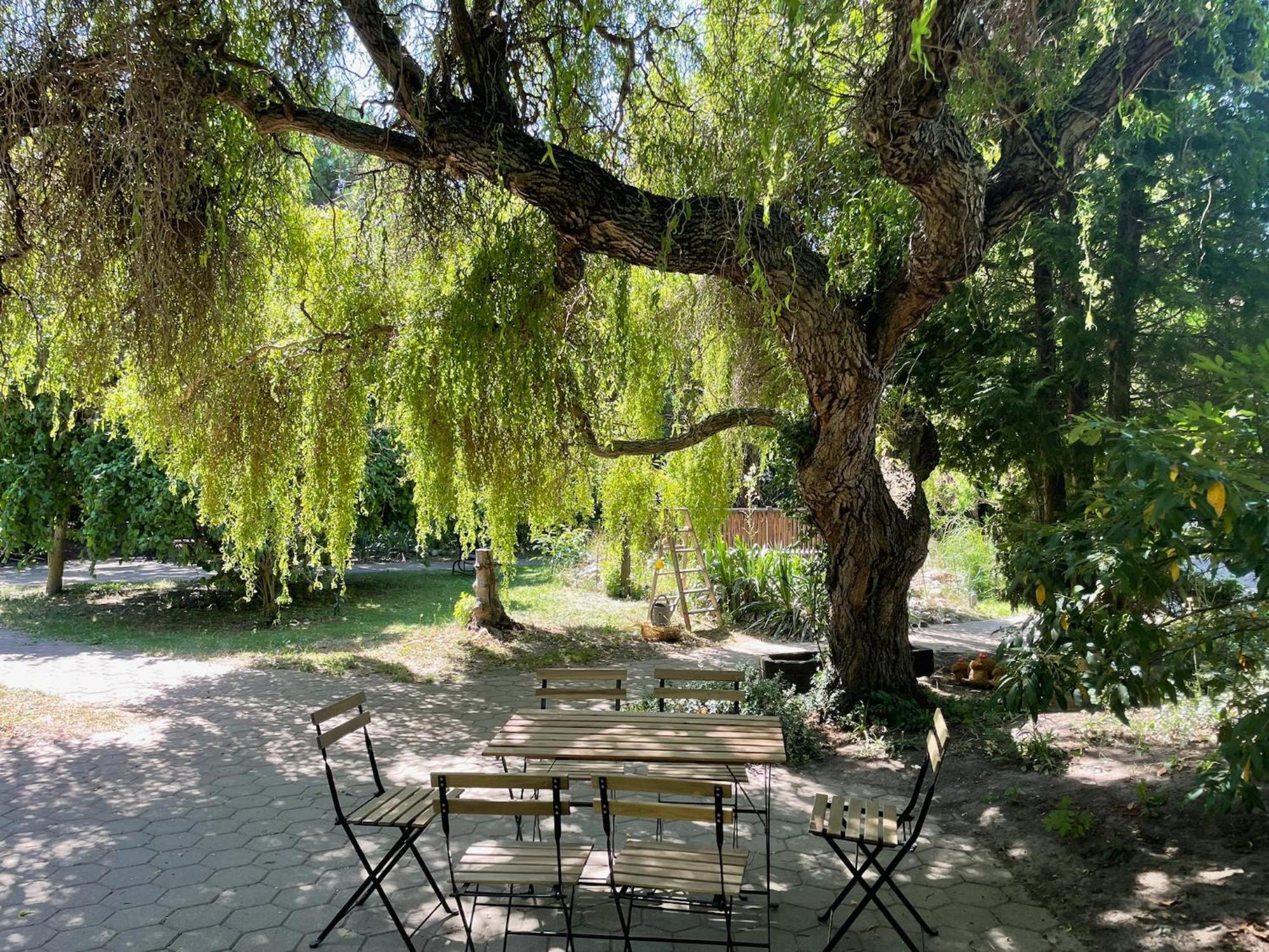 טאלה Harzhotel Warnstedter Krug מראה חיצוני תמונה